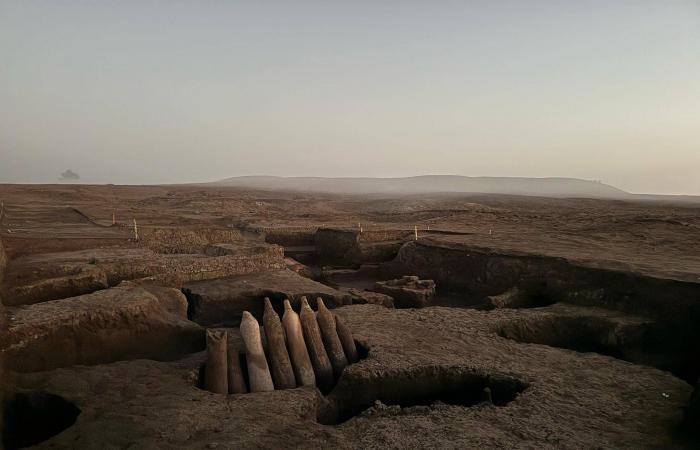 مصر:
      الكشف
      عن
      ورش
      أثرية
      لتجهيز
      السمك
      المملح
      وجبّانة
      رومانية
      في
      البحيرة