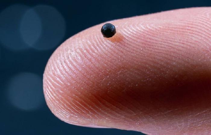 بحوث
      التوحُّد
      تؤكِّد
      الجذور
      الجينية
      القوية
      وتنفي
      أي
      علاقة
      باللقاحات