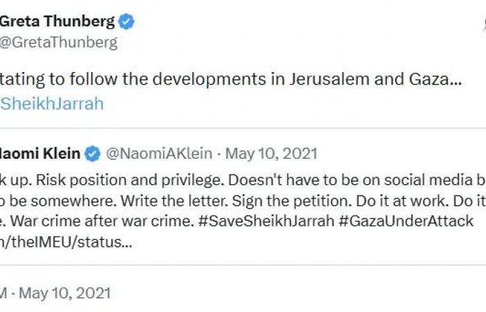 Terry
      Newman:
      Greta's
      journey
      from
      child
      climate
      activist
      to
      terrorist
      mascot