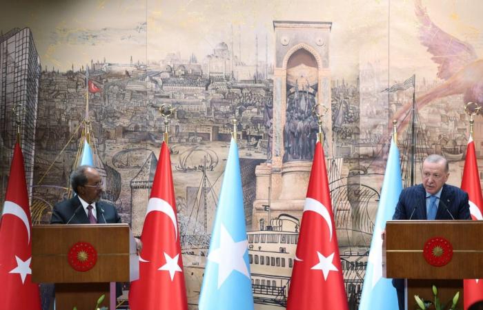  الرئيس التركي: اعتراف إسرائيل بـ"أرض الصومال" غير شرعي ومرفوض