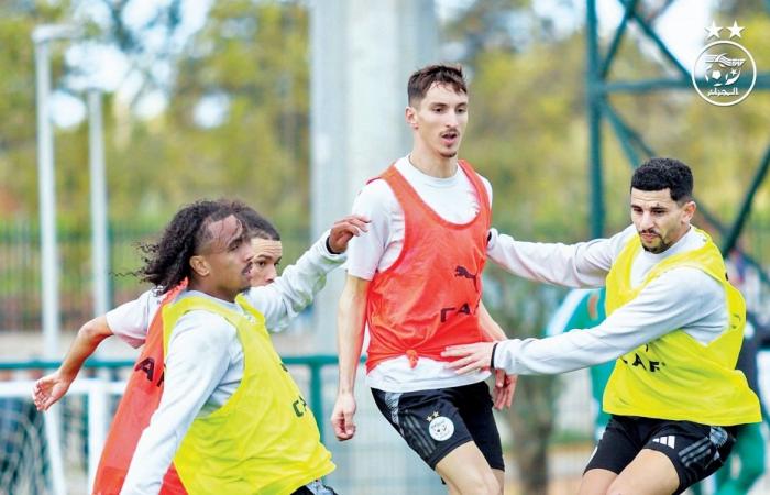 بطولة كأس أمم أفريقيا.. محاربو الصحراء بطموح العلامة الكاملة
