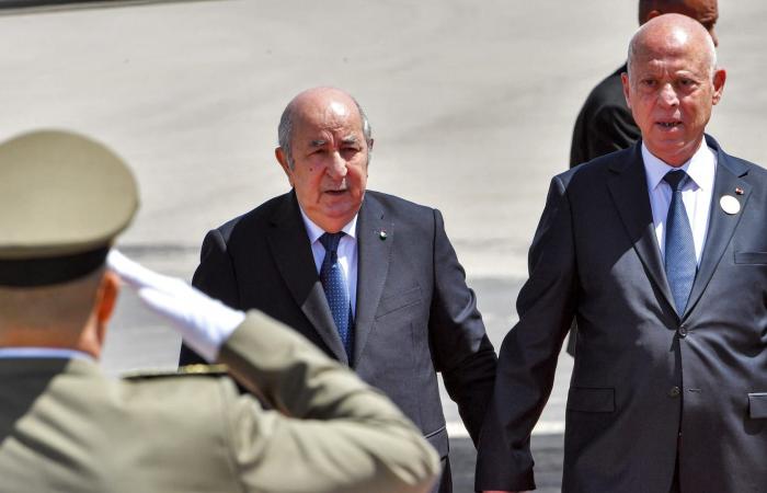 تبون يرد على ما أثير حول وجود قوات جزائرية في تونس وعلاقته بقيس سعيد