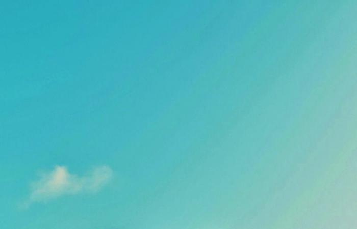 التنمية الاجتماعية: خطوات تشريعية ومبادرات نوعية تعزز مكانة الأسرة والمجتمع