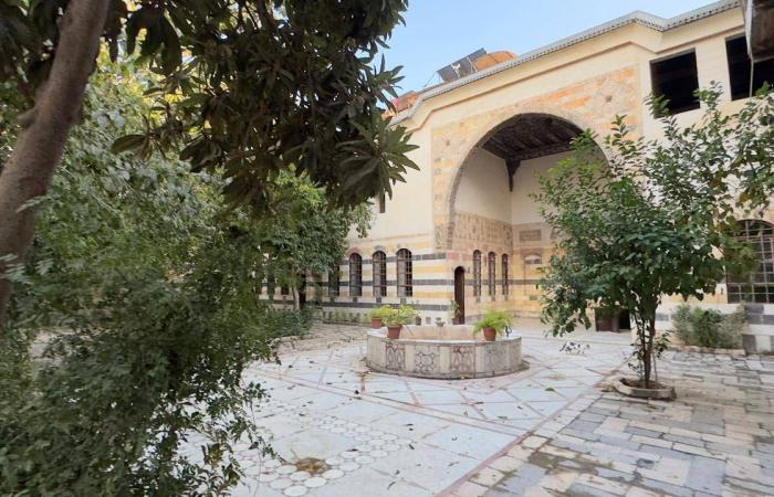 قبر
      مصري
      يغرق
      في
      عسل
      النحل...
      ما
      قصته؟