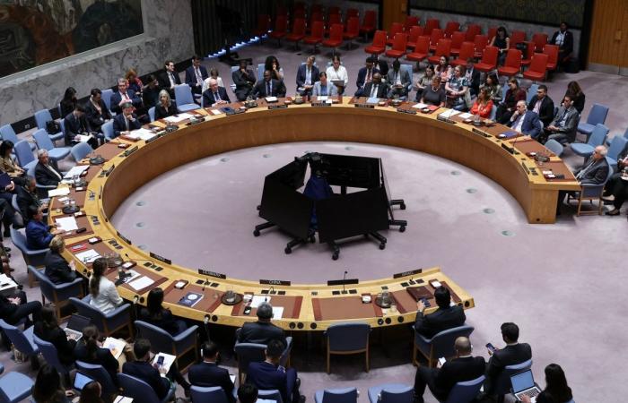 الصومال يتولى رئاسة مجلس الأمن الدولي خلال يناير الجاري