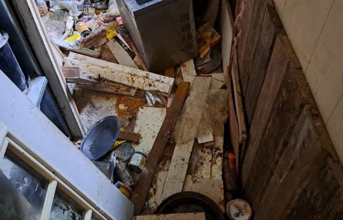 Woman
      tells
      of
      grizzly's
      violent
      assault
      on
      her
      home
      in
      community
      where
      bear
      attacked
      20
      schoolchildren