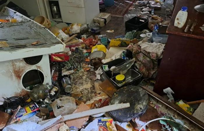 Woman
      tells
      of
      grizzly's
      violent
      assault
      on
      her
      home
      in
      community
      where
      bear
      attacked
      20
      schoolchildren