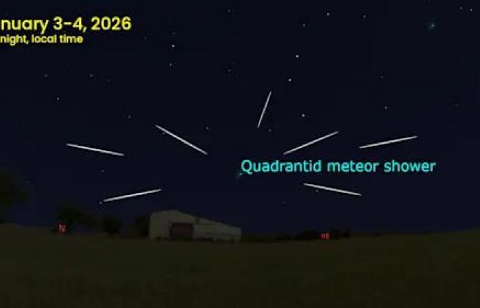 Look
      up!
      The
      Full
      Wolf
      Supermoon
      shines
      in
      the
      sky
      tonight!