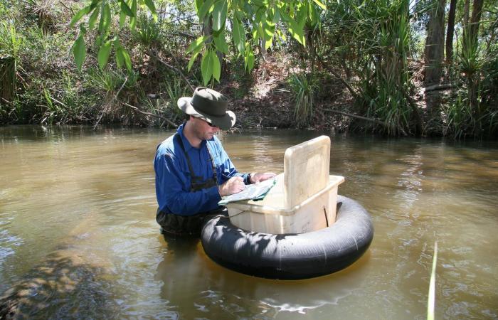 موطنها الوحيد نهر في أستراليا.. باحثون في سباق مع الزمن لإنقاذ هذه السمكة التاريخية