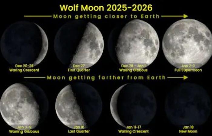 Look
      up!
      The
      Full
      Wolf
      Supermoon
      shines
      in
      the
      sky
      tonight!