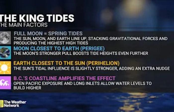 B.C.
      coast
      braces
      for
      king
      tides
      as
      stormy
      weekend
      looms