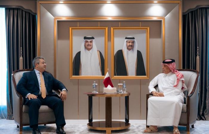 وزير الدولة للشؤون الخارجية يجتمع مع السفير المصري