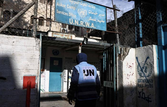 «خفض
      رواتب
      وتسريح
      موظفين»...
      أزمة
      مفاجئة
      بين
      «الأونروا»
      ومؤسسات
      فلسطينية