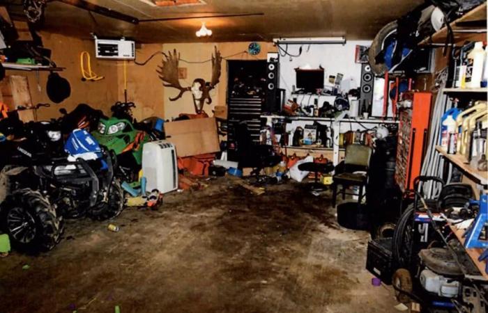 Sask.
      man
      pleads
      guilty
      to
      attempted
      murder
      in
      vicious
      domestic
      assault