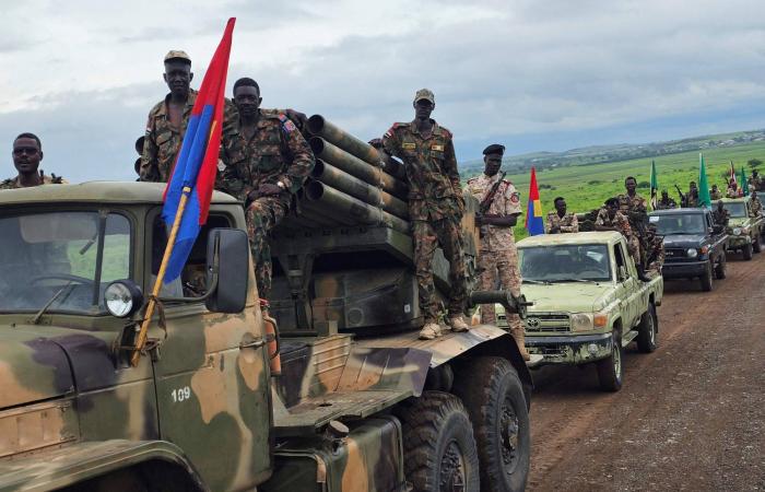 البرهان
      يبحث
      مع
      الخريجي
      العمل
      المشترك
      لإنهاء
      الحرب
      في
      السودان