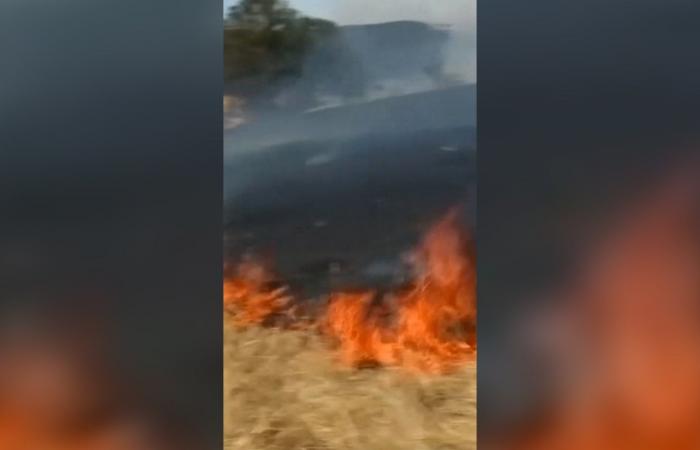 موجة حر شديدة ورياح عاتية تأجج نيران حرائق الغابات في أستراليا