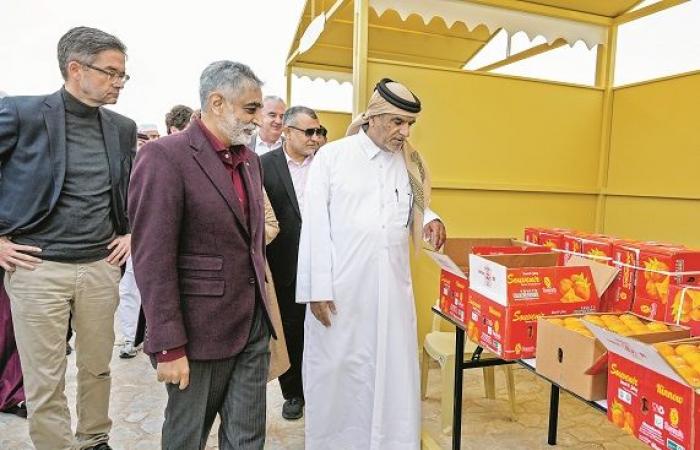 سوق الوكرة القديم وجهة للفعاليات الجماهيرية