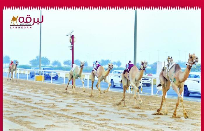 «شوارد» و«سعود» يحلقان بناموسي الجذاع مفتوح