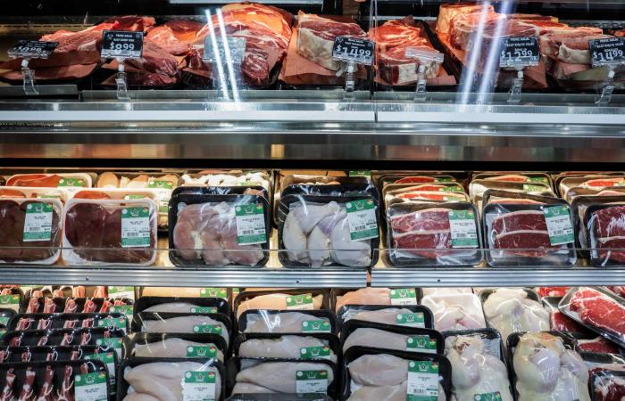 ما
      الحد
      الآمن
      لاستهلاك
      اللحوم
      الحمراء
      ومنتجات
      الألبان؟