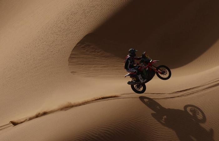 قحطاني
      الهلال
      إلى
      التعاون
      «معاراً»