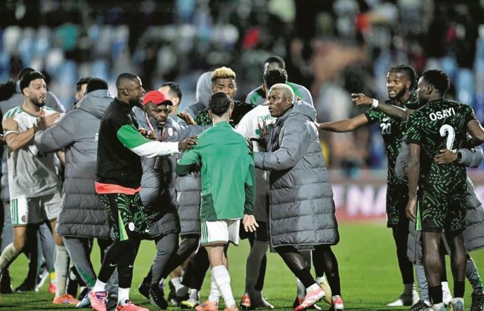 كأس أمم أفريقيا.. الكاف يفتح تحقيقاً في أحداث مباريات ربع النهائي