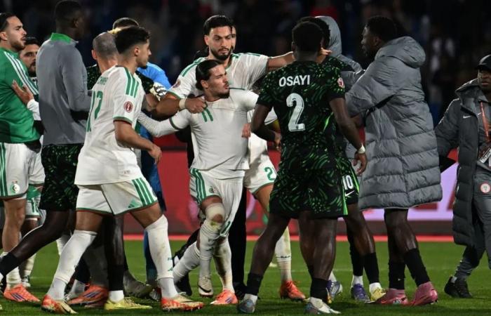 الكاف يتحرك ويفتح تحقيقا في أحداث مباراة الجزائر ونيجيريا بربع نهائي كأس أفريقيا