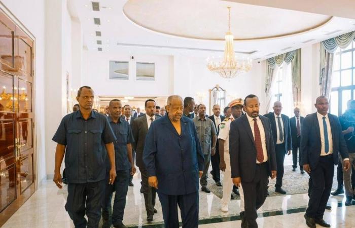 الصومال
      يلغي
      جميع
      الاتفاقيات
      مع
      الإمارات