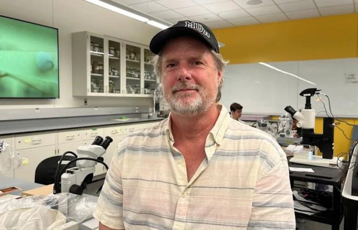 Global
      warming
      helps
      spread
      viruses
      but
      risk
      in
      N.L.
      remains
      low,
      say
      researchers