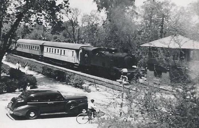 إطلاق
      دمية
      باربي
      جديدة
      مصابة
      بالتوحد