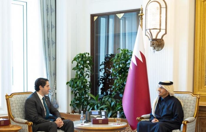  رئيس مجلس الوزراء وزير الخارجية يستقبل الرئيس التنفيذي لمؤسسة تمويل التنمية الدولية الأمريكية