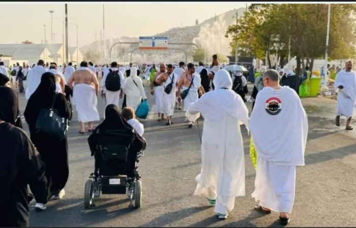 ملاحقة
      مصرية
      مستمرة
      لـ«شركات
      الحج
      الوهمية»