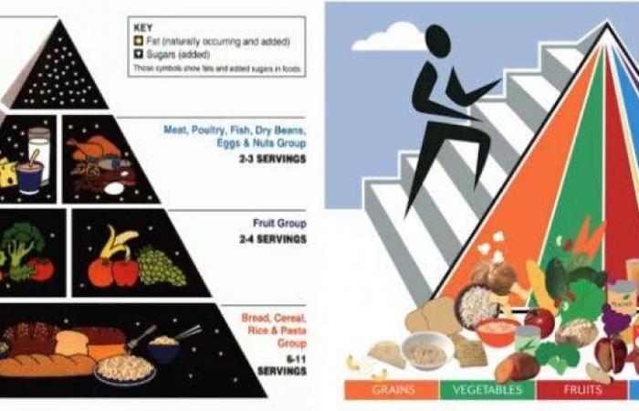 هرم
      غذائي
      جديد
      في
      الولايات
      المتحدة
      يثير
      الجدل
      بين
      علماء