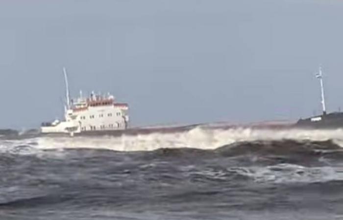 مصر.. جنوح السفينة «FENER» بالقرب من شاطئ بورسعيد بسبب الأحوال الجوية