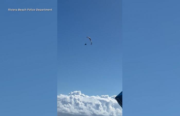 لحظة سقوط مروع لطائرة شراعية أمام الكاميرا في فلوريدا