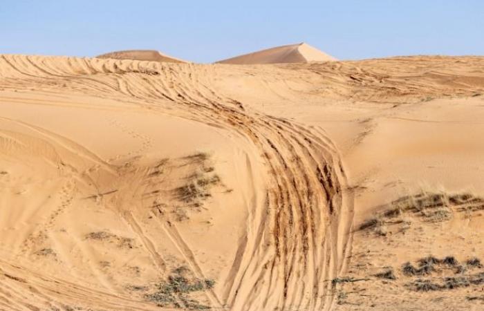 فريق ديفيندر يواصل الهيمنة في رالي داكار 2026