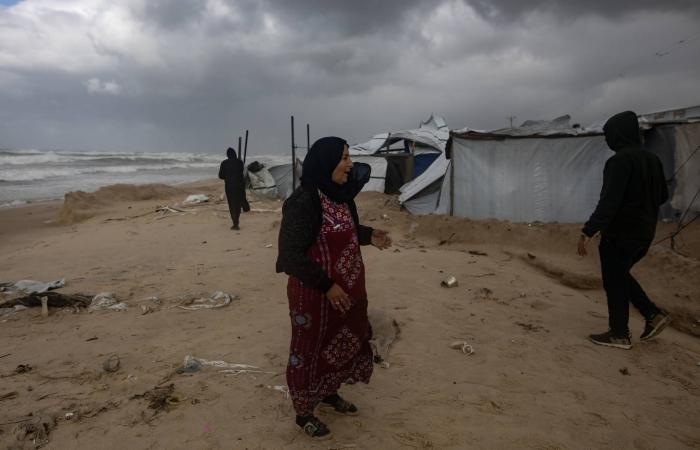 الجيش
      السوري
      يستهدف
      مواقع
      «قسد»
      في
      محيط
      مدينة
      دير
      حافر
      بريف
      حلب
      الشرقي