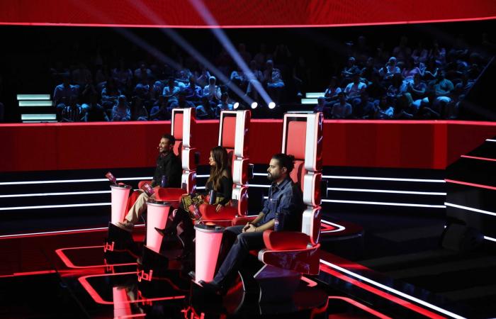 الشاشات
      العربية...
      موت
      وخشوع
      وصخب