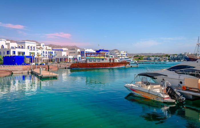 أغاثا
      كريستي
      تُكرّم
      على
      ضفاف
      النيل