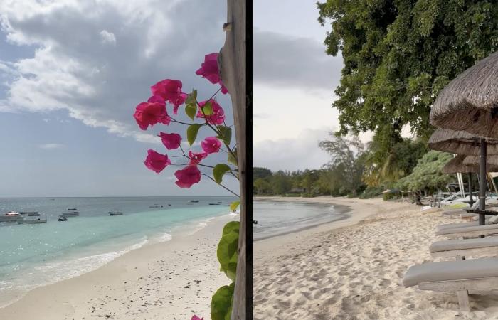 بين موريشيوس وزنجبار.. ما هي الوجهة الأفضل لقضاء شهر العسل؟