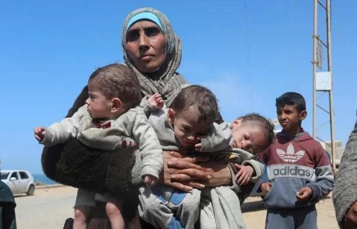 انخفاض
      المواليد
      في
      غزة
      بنسبة
      41
      %
      جراء
      الحرب