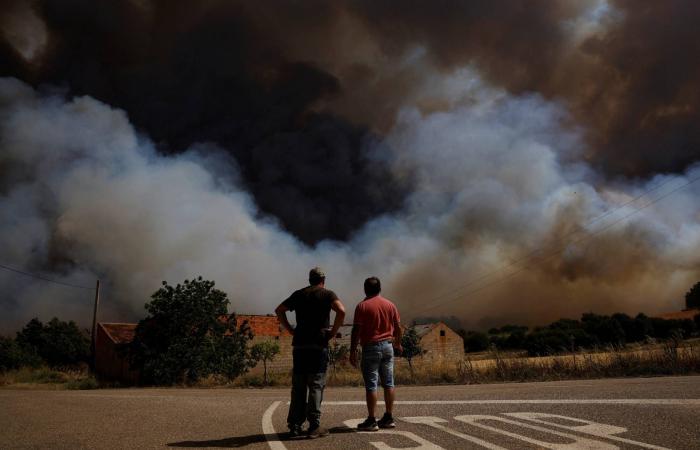 2025...
      ثالث
      أكثر
      السنوات
      حراً
      على
      الإطلاق
      عرفها
      العالم