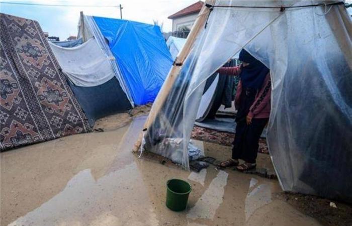 أولــــويتـــنـــــــا تـــأمــيــــــن الــمــــــأوى