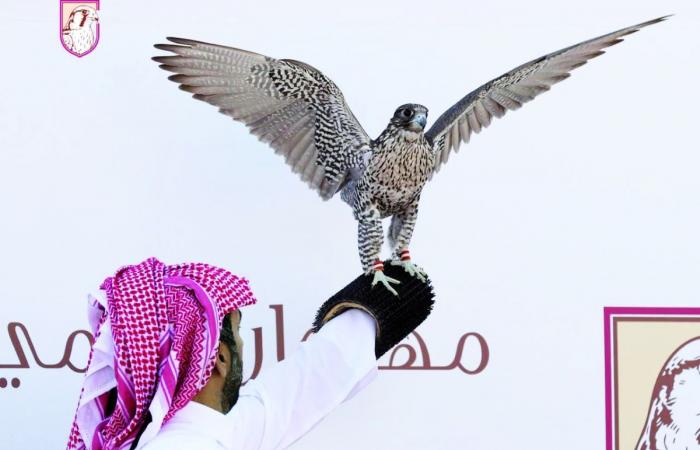 20 متأهلاً إلى نهائي بطولة الدعو بـ "مرمي"