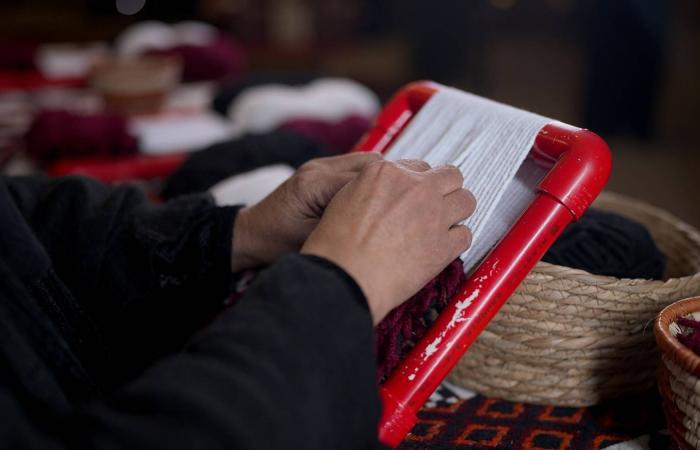 حِرفية
      سعودية
      تنجح
      في
      نقل
      إبداع
      منسوجاتها
      إلى
      العالمية