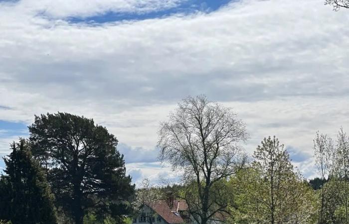 صدمة ثقافية.. أمريكية تُفاجأ بالهدوء الشديد والشتاء القاسي في السويد