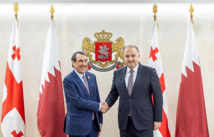 نائب رئيس الوزراء ووزير الدفاع في جورجيا يجتمع مع سفير دولة قطر