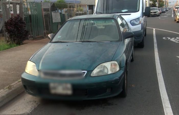 كلاب تهاجم بشراسة رجلًا يسير مع كلبه في شارع بهاواي.. شاهد ما حدث