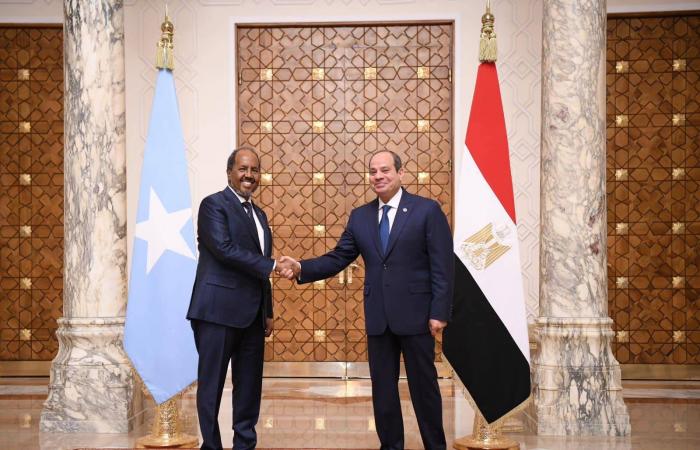 اعتراف
      إسرائيل
      بـ«أرض
      الصومال»
      يعزز
      التنسيق
      العسكري
      بين
      القاهرة
      ومقديشو