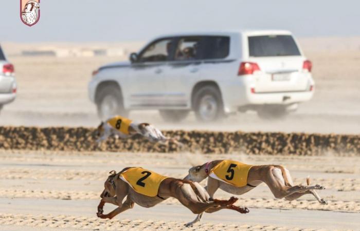 ختام مثير لبطولة سباق السلوقي في مرمي 2026