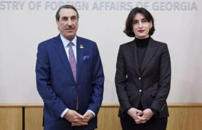 وزيرة الخارجية في جورجيا تجتمع مع سفير دولة قطر